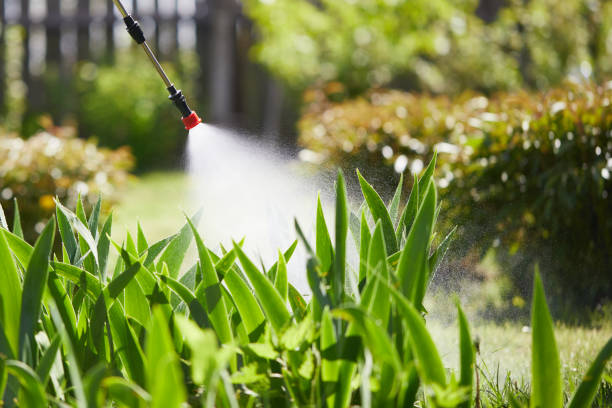 24/7 Emergency Cockroach Control experts in Springfield, NJ