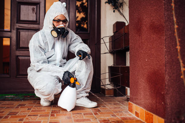 Reliable Cockroach Control contractor in Springfield, NJ by Nex Pest Control